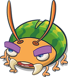 Beetle